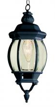 Trans Globe 4065 BK - 1LT SMALL HANGING LANTERN-OUTD